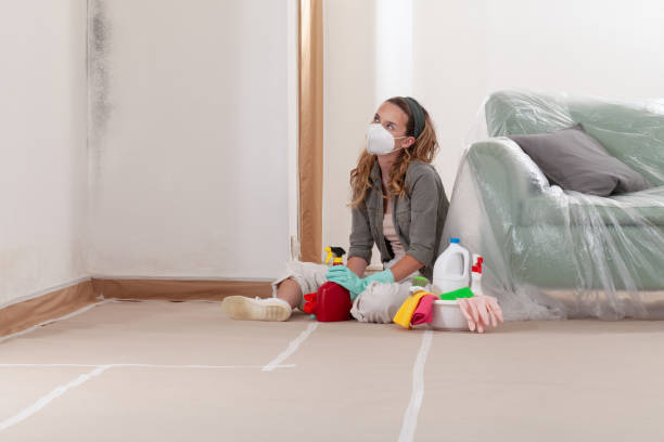 Reliable Mold Removal contractor in Prosper, TX by 24 Hour Mold Removal